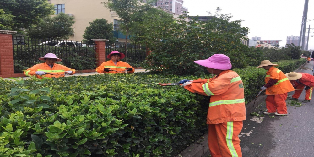 新站區(qū)道路清掃保潔、綠化管養(yǎng)項目