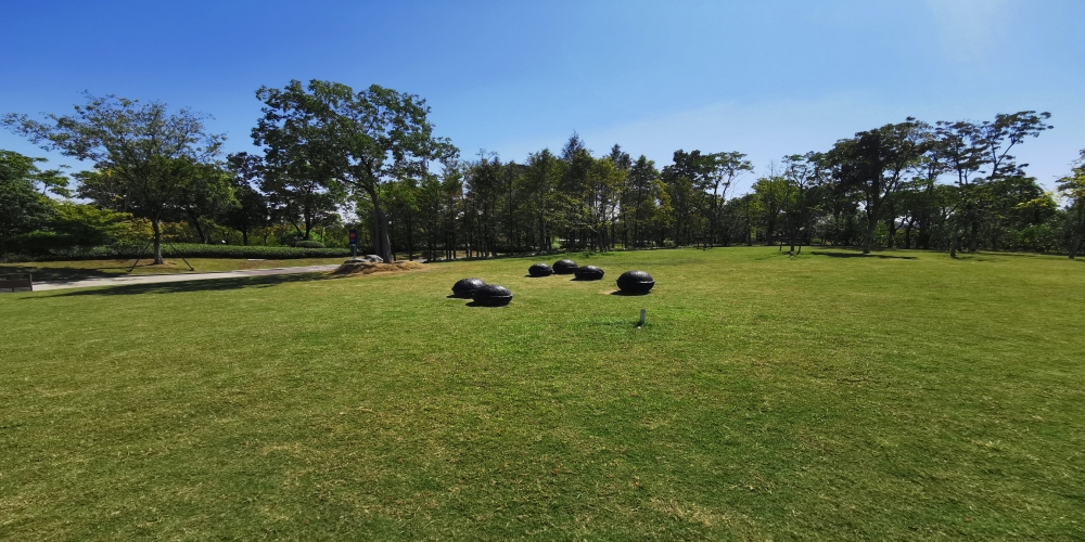 合肥廬陽區(qū)廬州公園一期綠化景觀養(yǎng)護(hù)